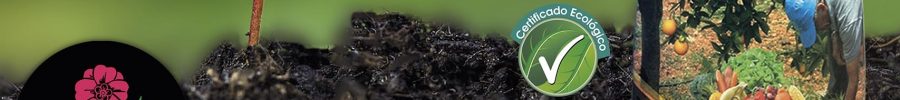 turba plant