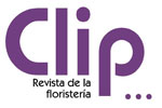 CLIP-mail