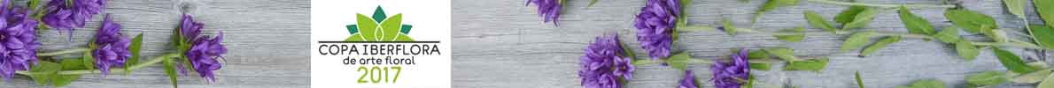 Banner-1190-x-100-px