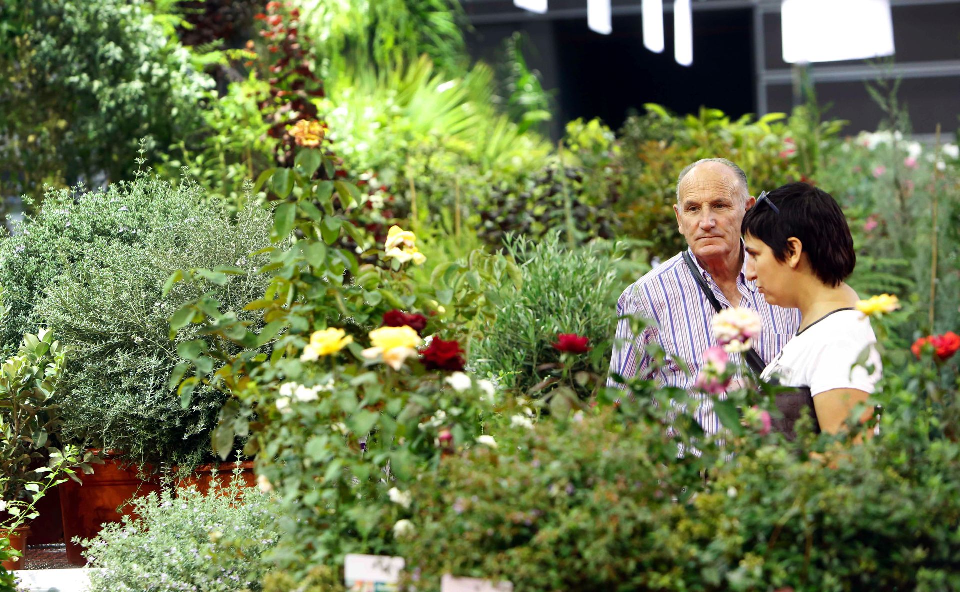 iberflora-expectativas-feria