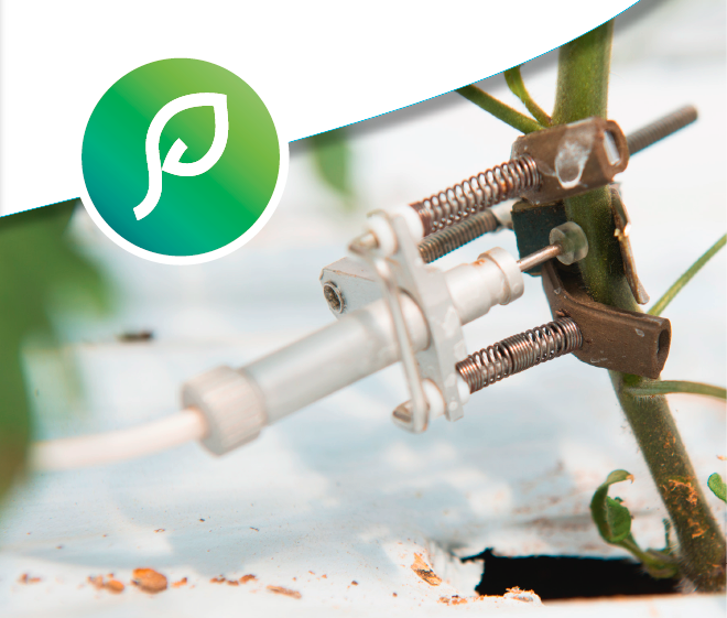 System-supplant-irrigation