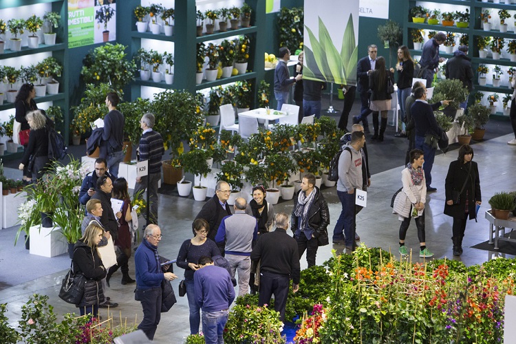 myplant-and-garden-2019