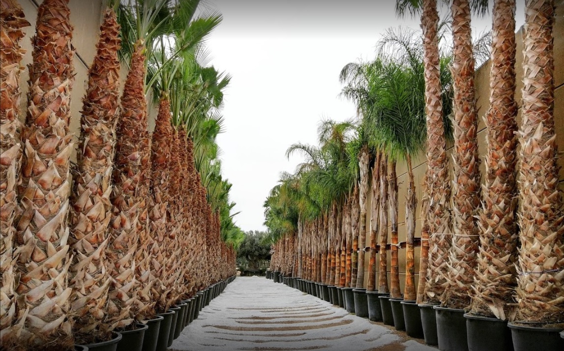 viveros-lafinca-iberflora20
