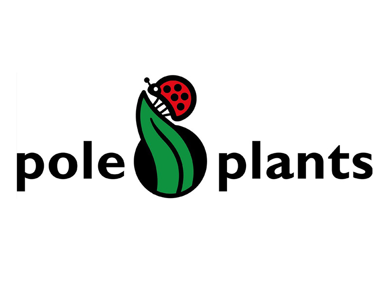 poleplants-iberflora-2021